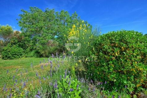 Panorama e Particolari