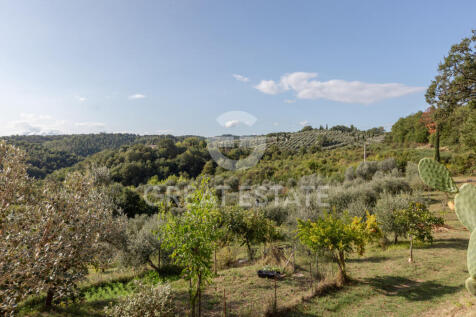 Panorama e Particolari