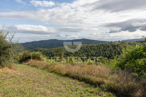 Panorama e Particolari