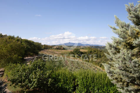 Panorama e Particolari