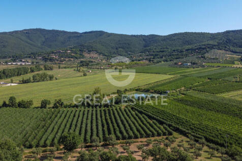 Panorama e Particolari