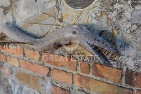 Panorama e Particolari