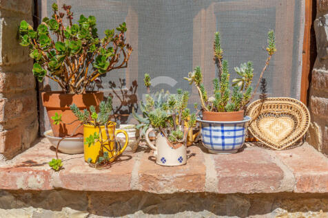 Panorama e Particolari