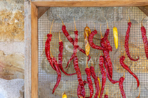 Panorama e Particolari