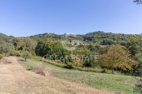 Panorama e Particolari