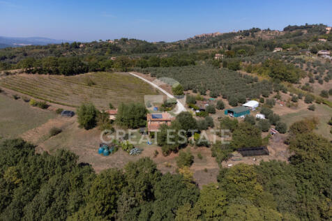 Panorama e Particolari