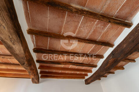 Panorama e Particolari