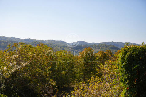 Panorama e Particolari