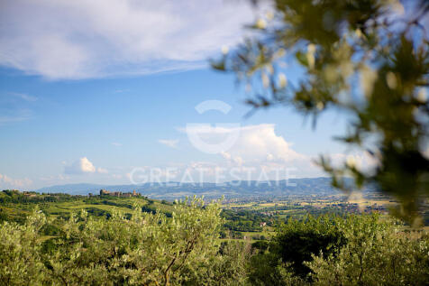 Panorama e Particolari