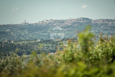 Panorama e Particolari