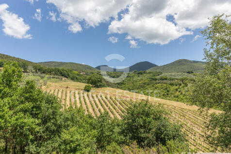 Panorama e Particolari