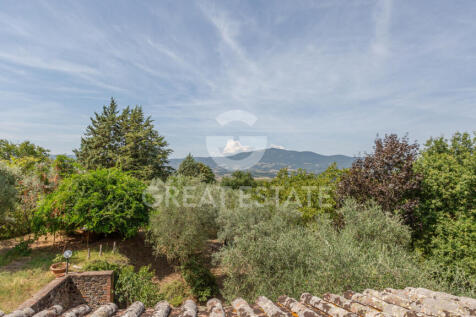 Panorama e Particolari