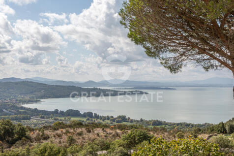 Panorama e Particolari