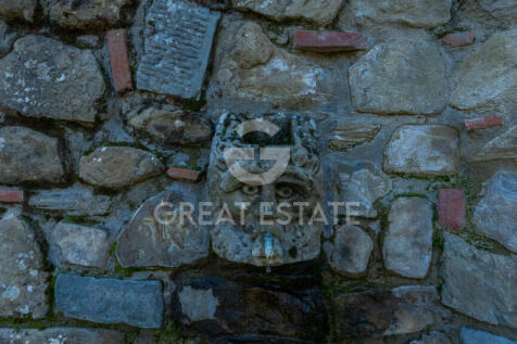 Panorama e Particolari