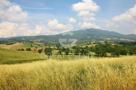 Panorama e Particolari