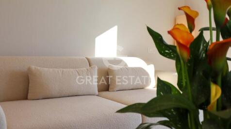 Panorama e Particolari