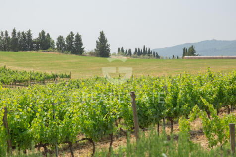 Panorama e Particolari