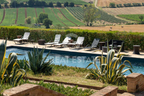 Panorama e Particolari