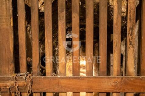 Panorama e Particolari