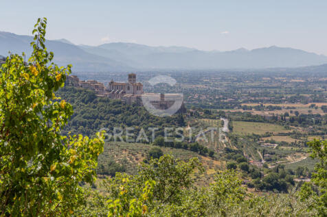 Panorama e Particolari