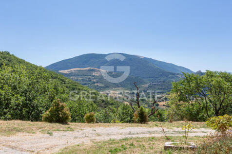 Panorama e Particolari