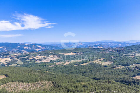 Panorama e Particolari