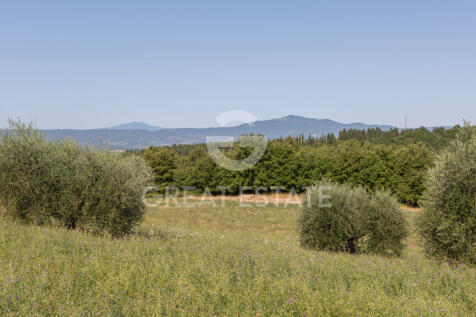 Panorama e Particolari