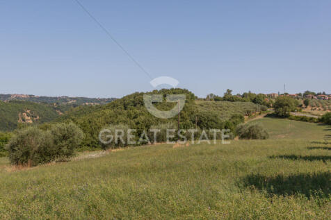 Panorama e Particolari