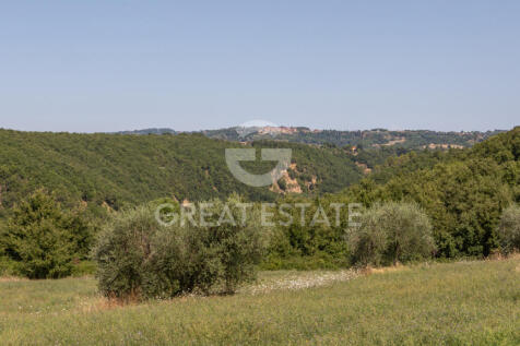 Panorama e Particolari