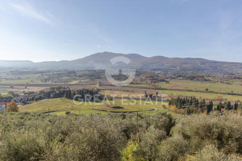 Panorama e Particolari