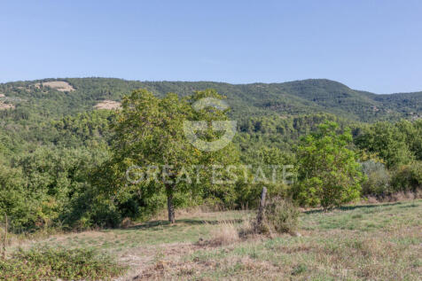 Panorama e Particolari