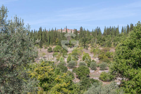 Panorama e Particolari