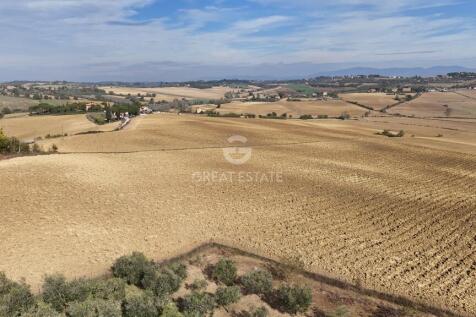 Panorama e Particolari