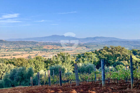 Panorama e Particolari