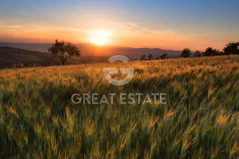 Panorama e Particolari