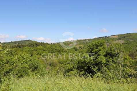 Panorama e Particolari