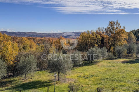Panorama e Particolari