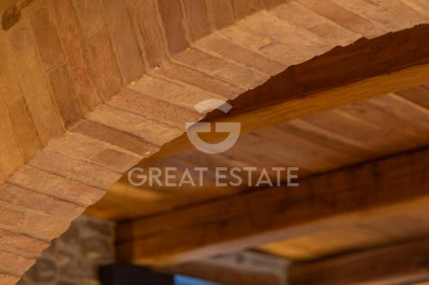 Panorama e Particolari