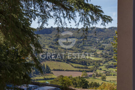 Panorama e Particolari