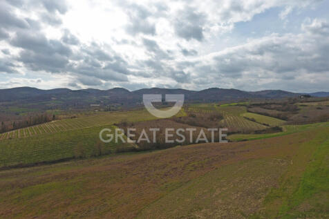 Panorama e Particolari