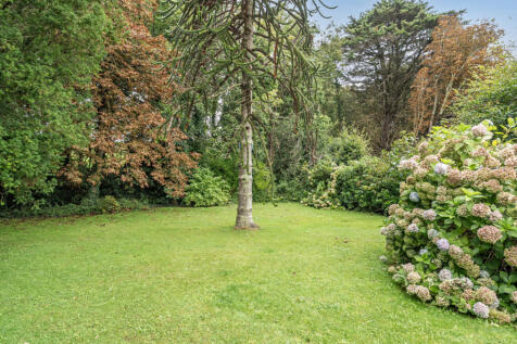 1354934-16-68cbfc...