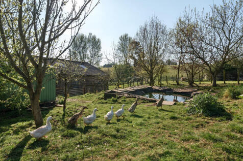 Pond Area