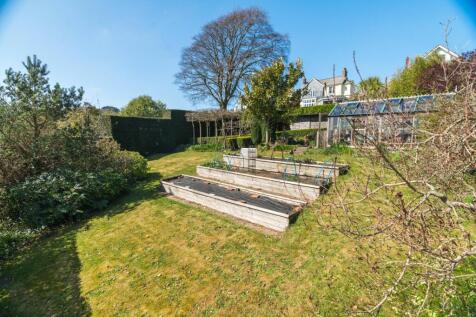 Vegetable Garden