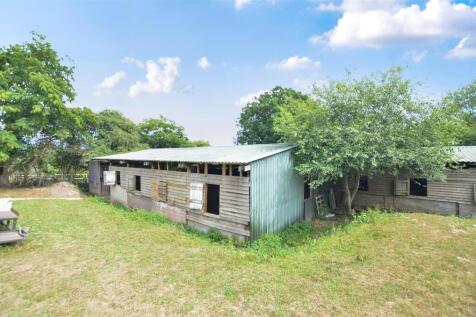 9018267-105641-133966310161899314-5db5cfda-bca6-5a