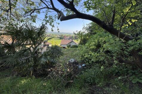 View from Upper Path