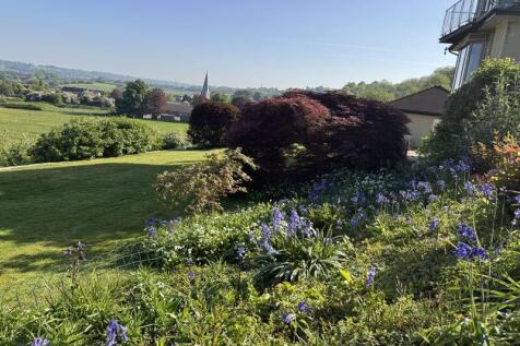 Bluebells