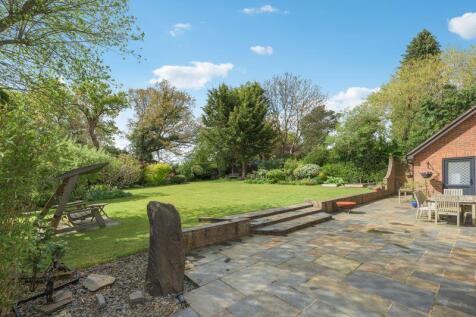 patio and garden