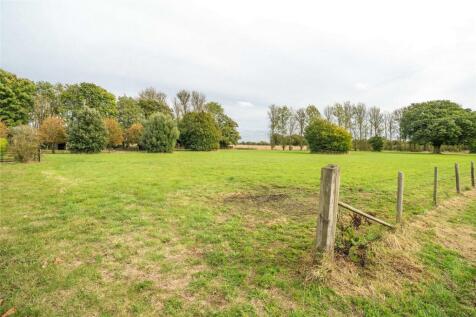 Meadow