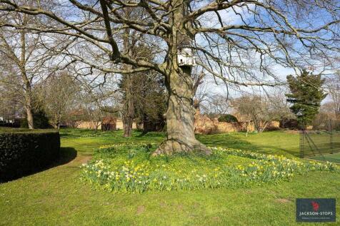 Grounds