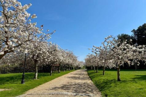 Driveway April 2025
